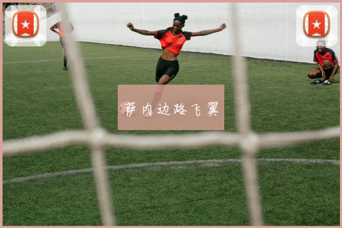 萨内边路飞翼