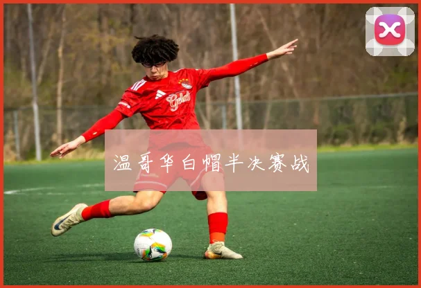 温哥华白帽半决赛战