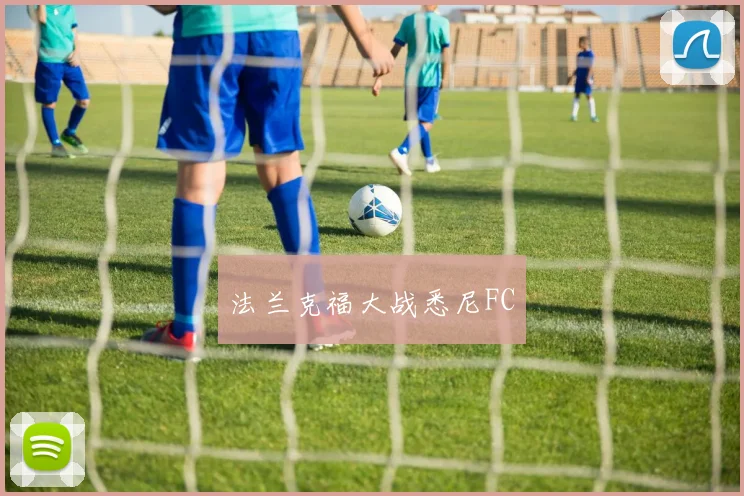 法兰克福大战悉尼FC