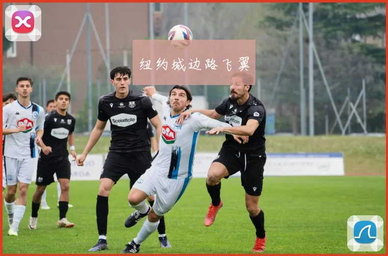 纽约城边路飞翼
