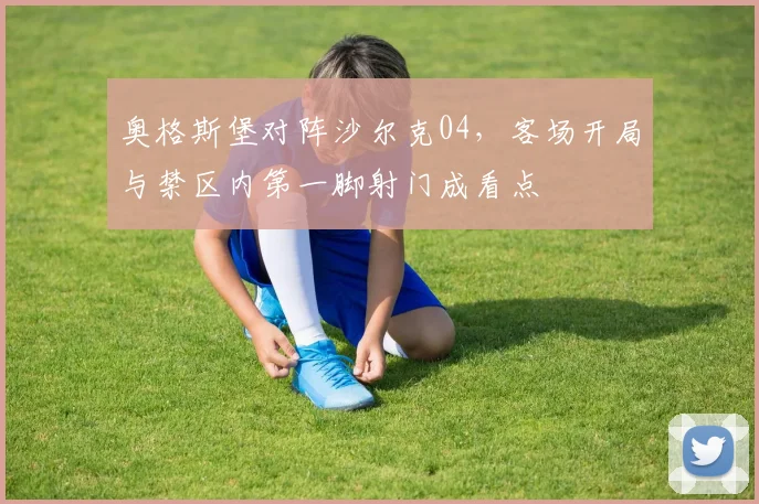 奥格斯堡对阵沙尔克04，客场开局与禁区内第一脚射门成看点