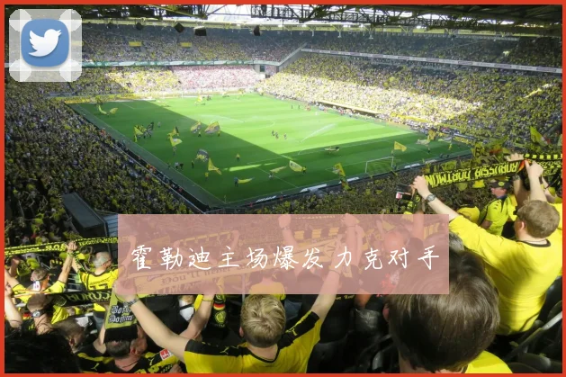 霍勒迪主场爆发力克对手