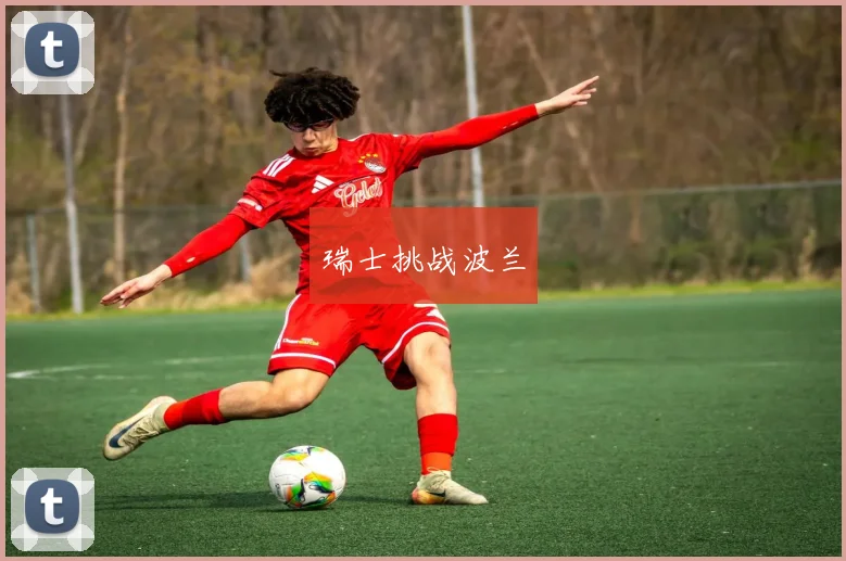 瑞士挑战波兰