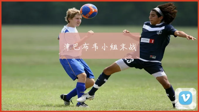 津巴布韦小组末战