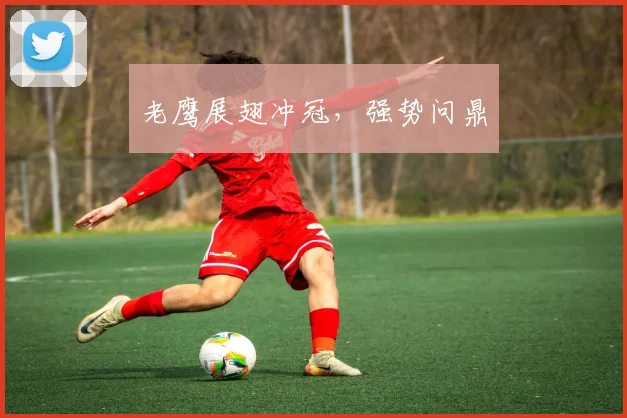 老鹰展翅冲冠，强势问鼎