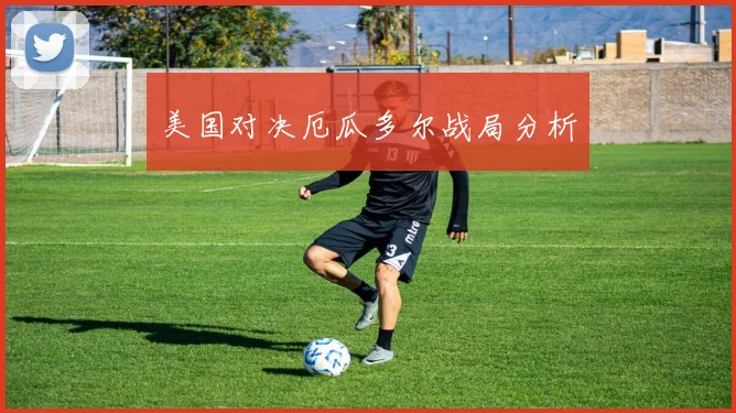 美国对决厄瓜多尔战局分析