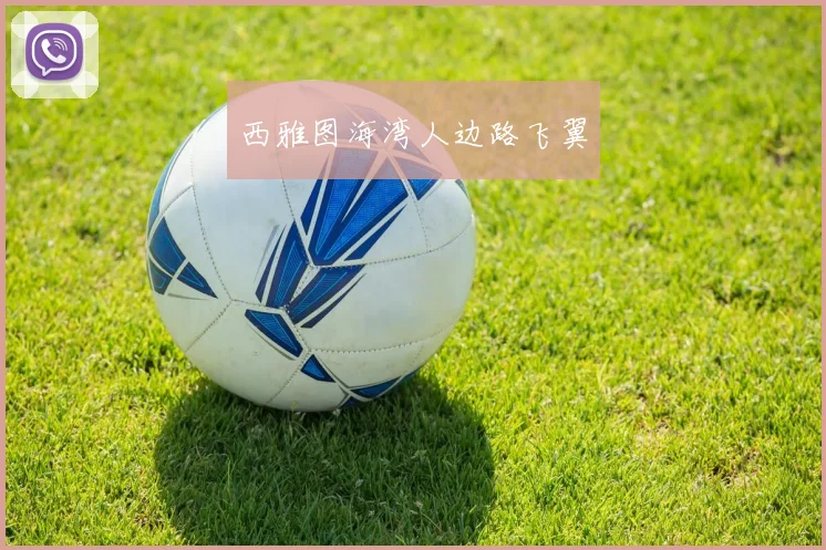 西雅图海湾人边路飞翼