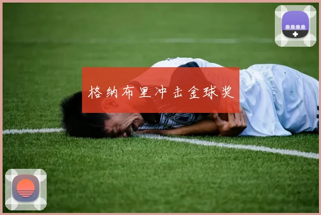 格纳布里冲击金球奖