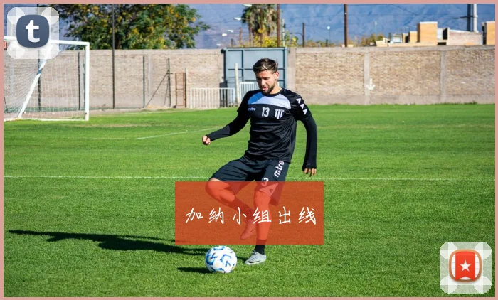 加纳小组出线