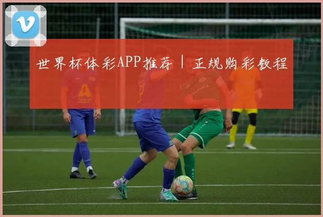 世界杯体彩APP推荐｜正规购彩教程