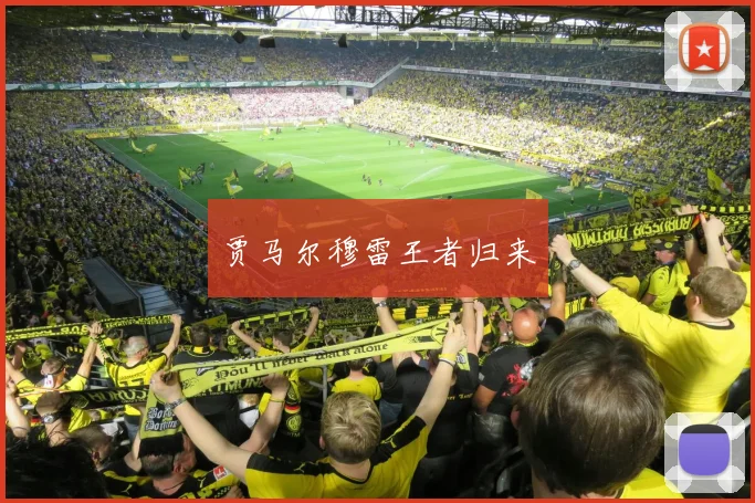 贾马尔穆雷王者归来