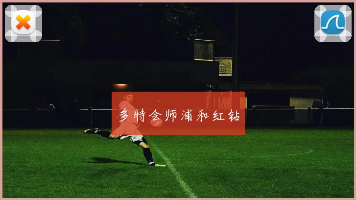 多特会师浦和红钻