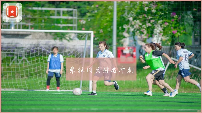 弗拉门戈排名冲刺