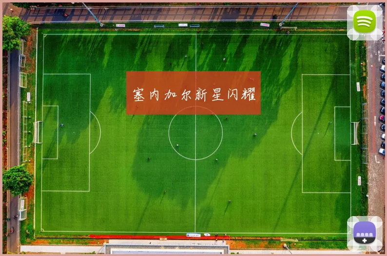 塞内加尔新星闪耀