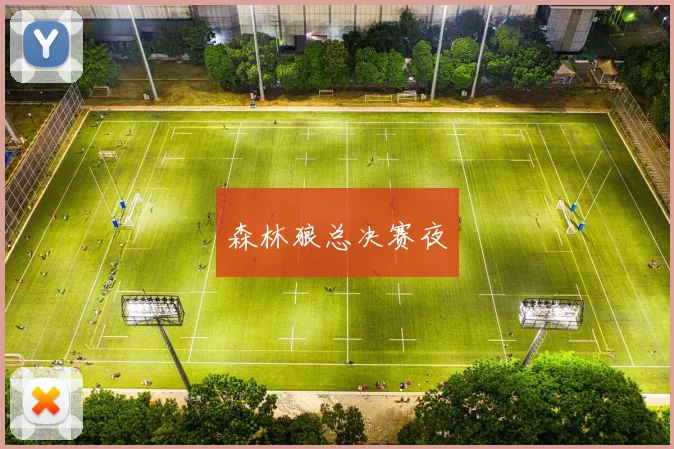 森林狼总决赛夜