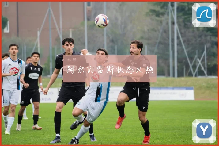 阿尔瓦雷斯状态火热