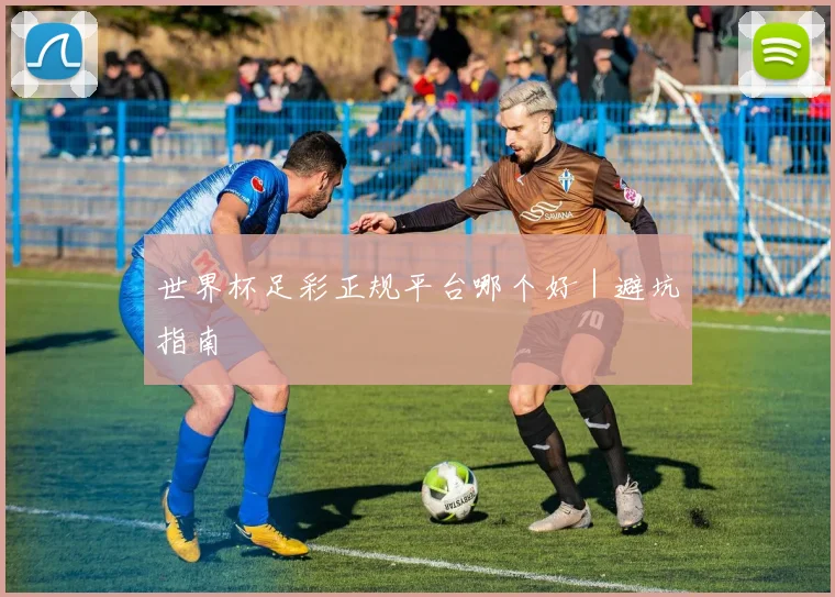 世界杯足彩正规平台哪个好｜避坑指南