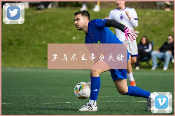 罗马尼亚争分关键
