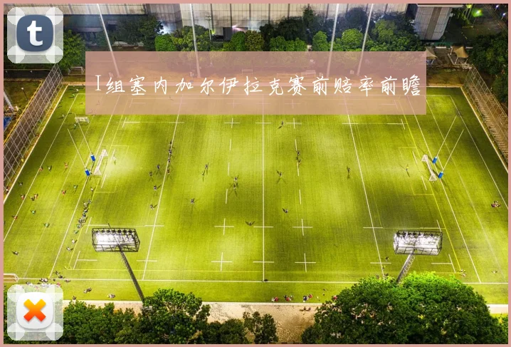 I组塞内加尔伊拉克赛前赔率前瞻