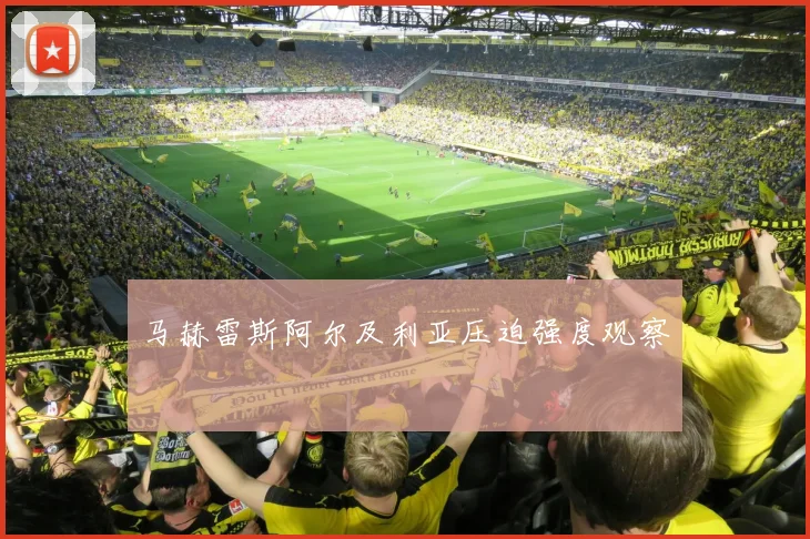 马赫雷斯阿尔及利亚压迫强度观察