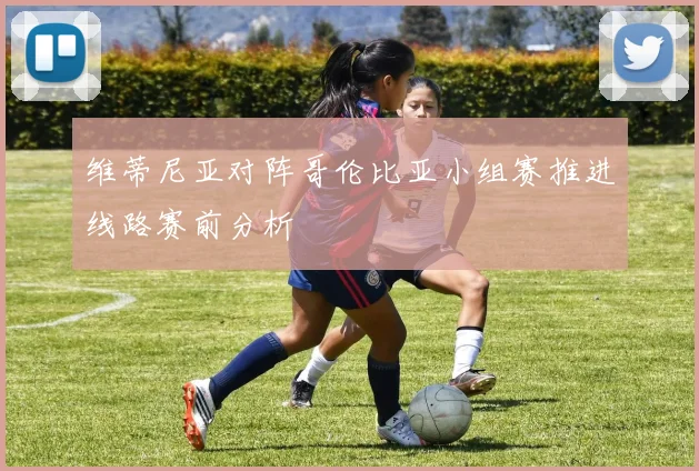 维蒂尼亚对阵哥伦比亚小组赛推进线路赛前分析