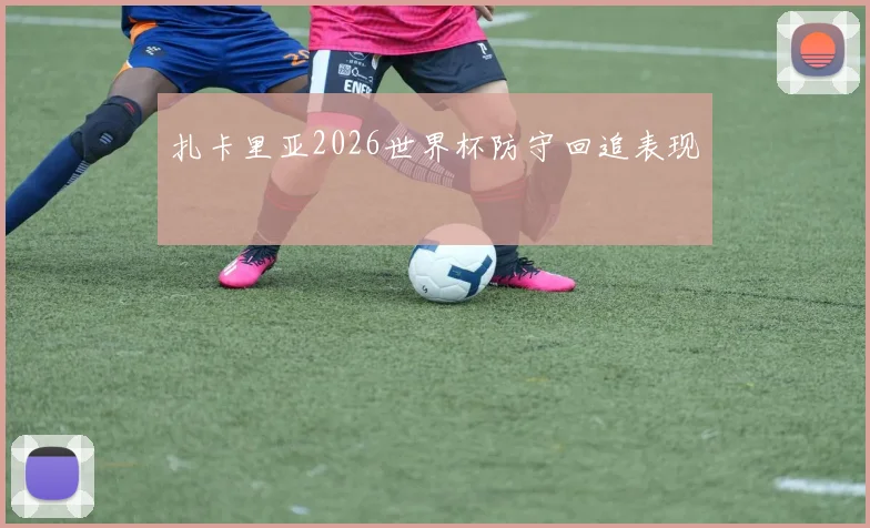 扎卡里亚2026世界杯防守回追表现
