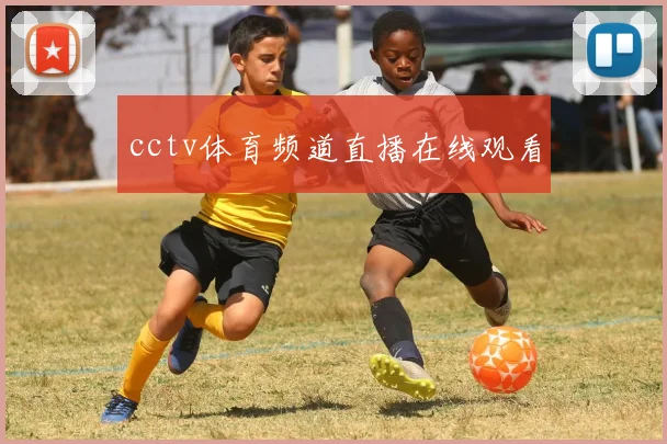 cctv体育频道直播在线观看