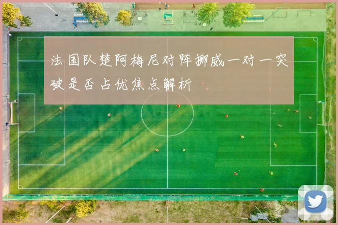 法国队楚阿梅尼对阵挪威一对一突破是否占优焦点解析