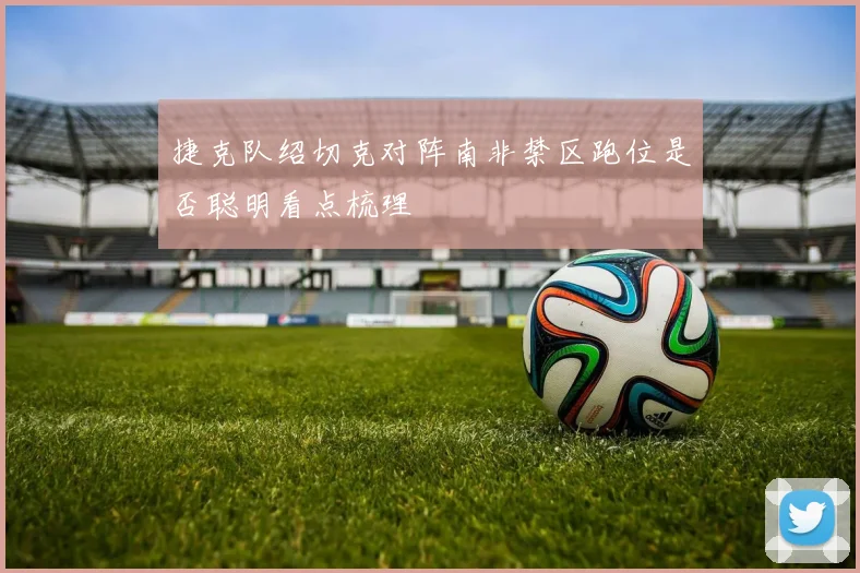 捷克队绍切克对阵南非禁区跑位是否聪明看点梳理
